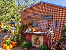 PHOTO GALLERY | flagstaffpumkinpatch
